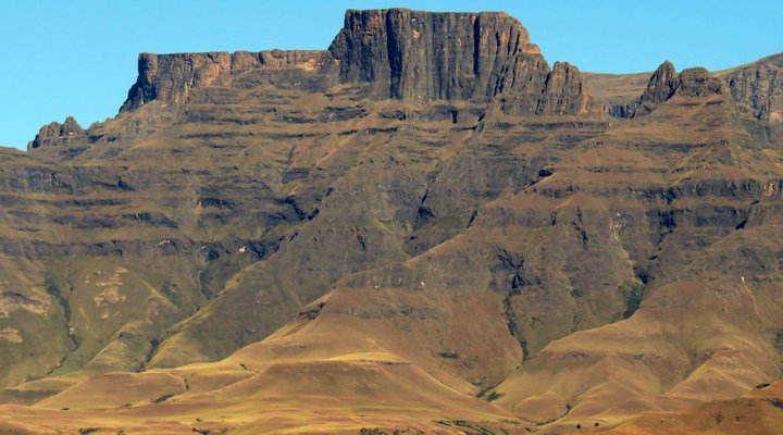 Wellstead House Gratitude Farm