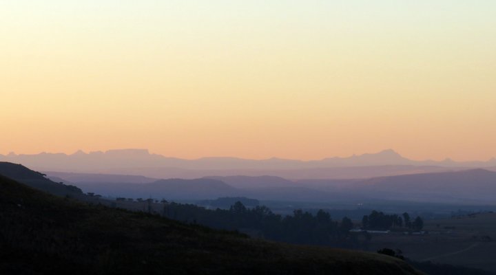 Wellstead House Gratitude Farm