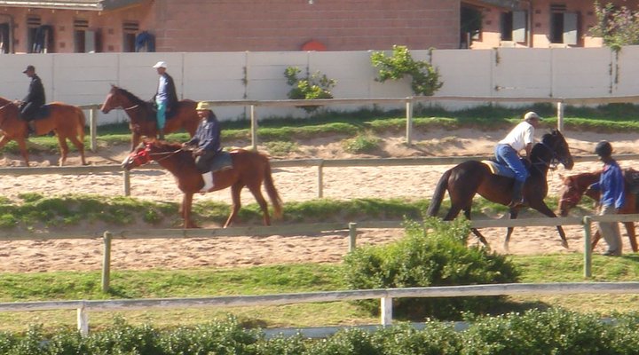 Colts Villa Apartments