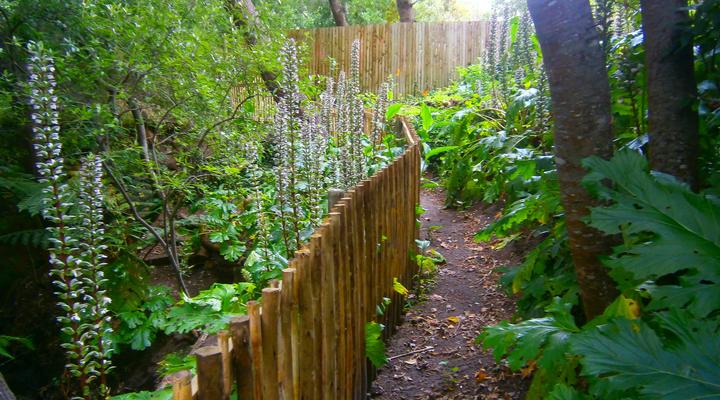 House at Pooh Corner