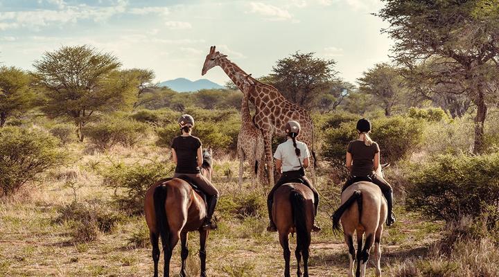 Kambaku Safari Lodge Waterberg Plateau