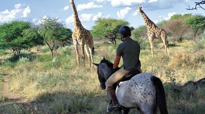 Kambaku Safari Lodge Waterberg Plateau