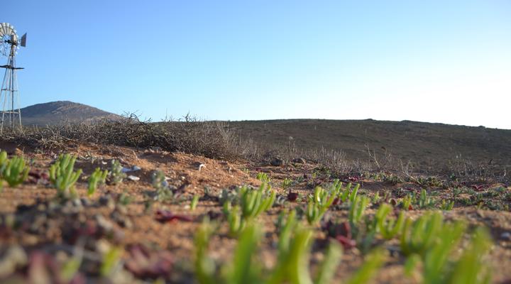 Namaqualand Eco Lodge