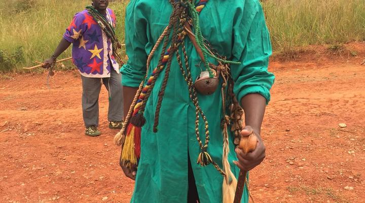 Mr Greenwoods Swaziland