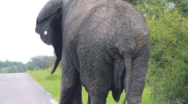 3 Night Bohm’s Zeederberg Mpumalanga Package