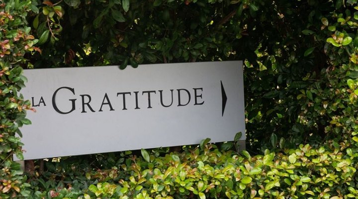 Avemore Lagratitude No 6