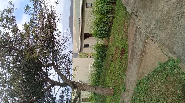 Hluhluwe Gate Safari Camp