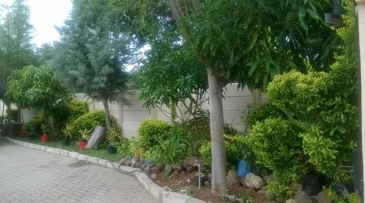 Comfort Palace - Kasane