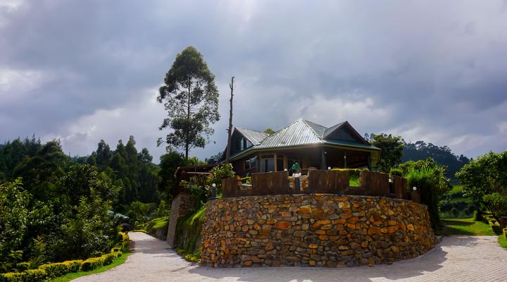 Rushaga Gorilla Camp