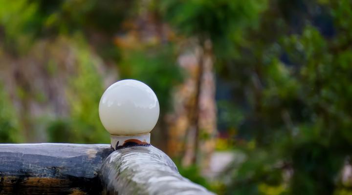 Rushaga Gorilla Camp