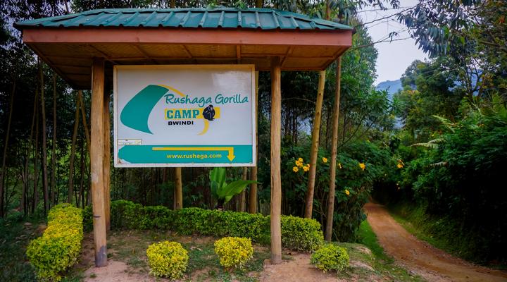 Rushaga Gorilla Camp