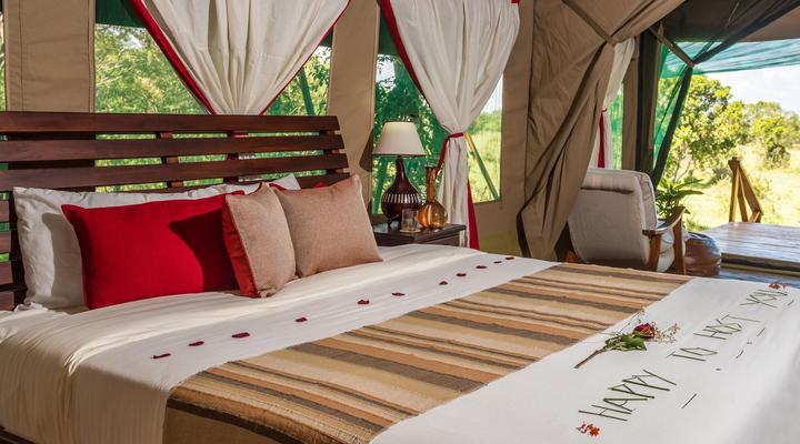 Losokwan Luxury Tented Camp