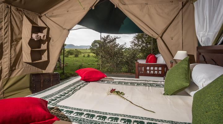Losokwan Luxury Tented Camp