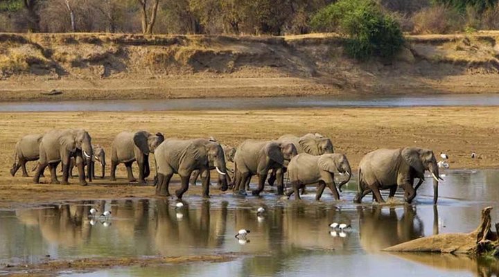 Backpacker Accommodation in South Luangwa Nat Park