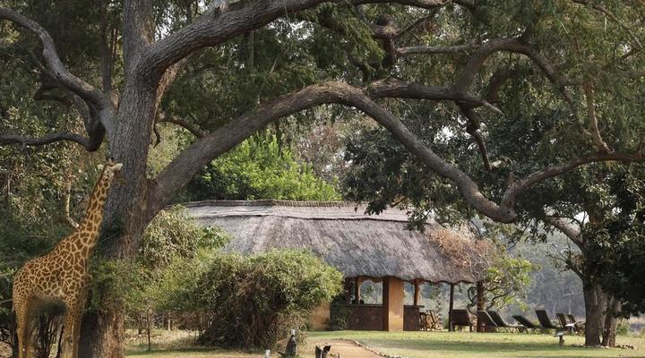 4 Night, 5 Day Highlights Safari Package