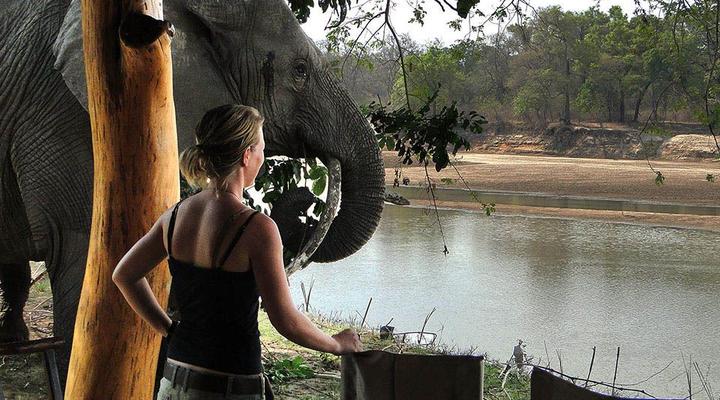  2 Night , 3 Day Breakaway Safari Package