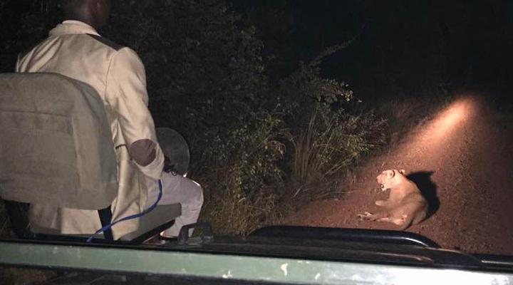  2 Night , 3 Day Breakaway Safari Package