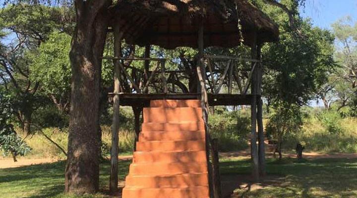 3 Night, 4 Day Scenic Safari Package