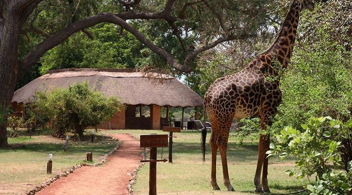 3 Night, 4 Day Scenic Safari Package