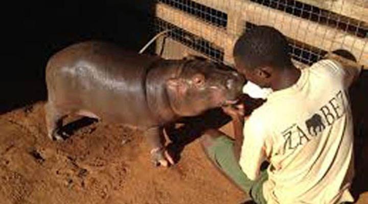 3 Night, 4 Day Scenic Safari Package