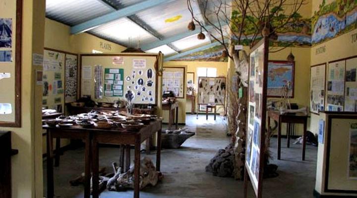 3 Night, 4 Day Scenic Safari Package