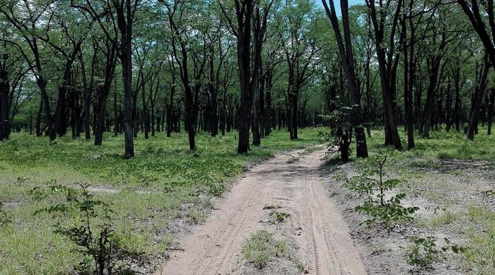 3 Night, 4 Day Scenic Safari Package