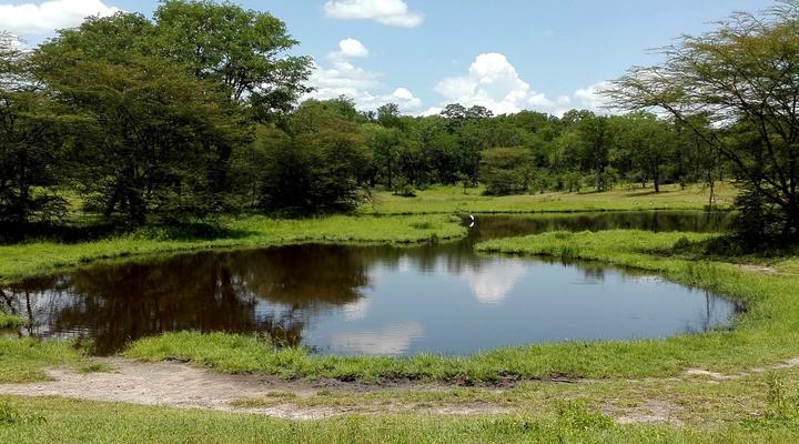 4 Night, 5 Day Highlights Safari Package