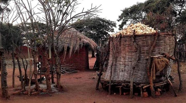 4 Night, 5 Day Highlights Safari Package