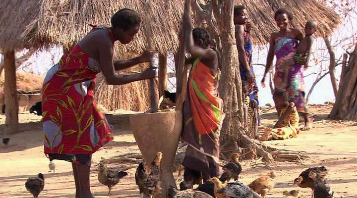 4 Night, 5 Day Highlights Safari Package