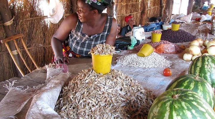 3 Night, 4 Day Scenic Safari Package