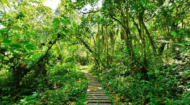 Primate Lodge Kibale