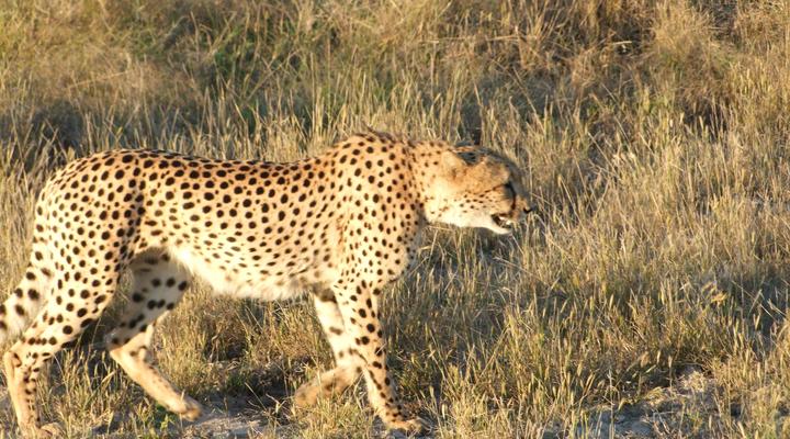 Malyo Wilderness Camp