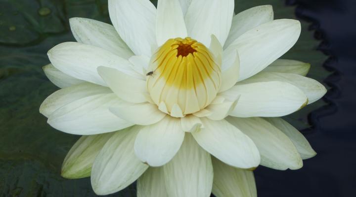 Malyo Wilderness Camp