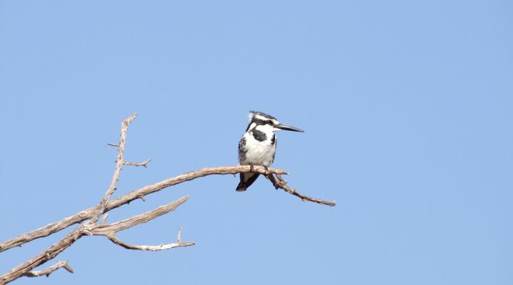 Malyo Wilderness Camp