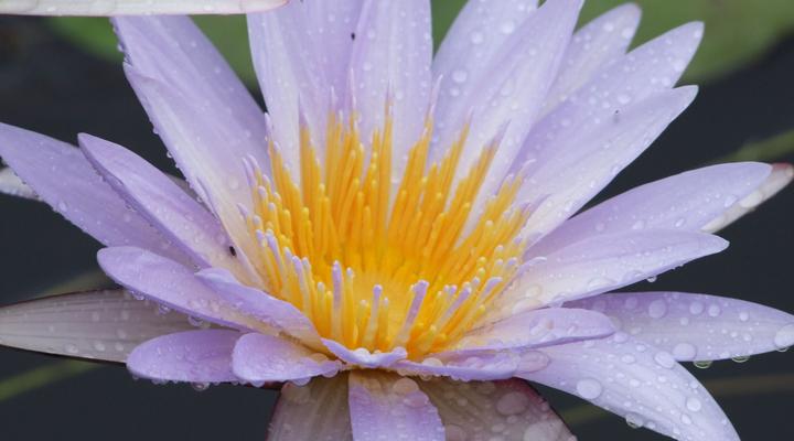 Malyo Wilderness Camp