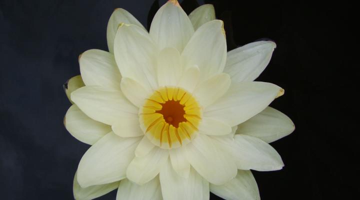 Malyo Wilderness Camp