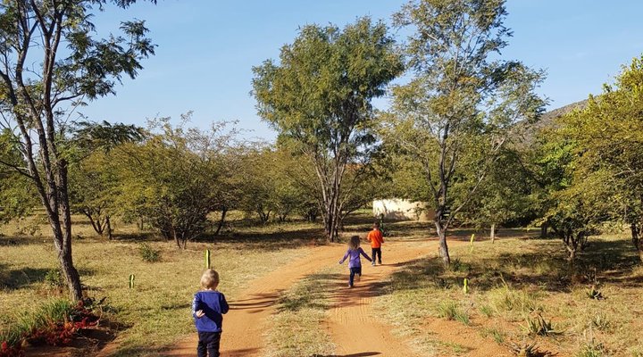 Mountain View Cottage 