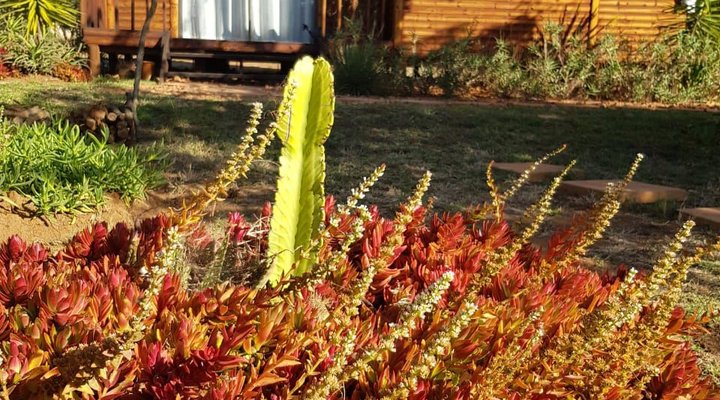 Mountain View Cottage 