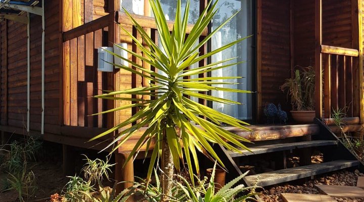 Mountain View Cottage 