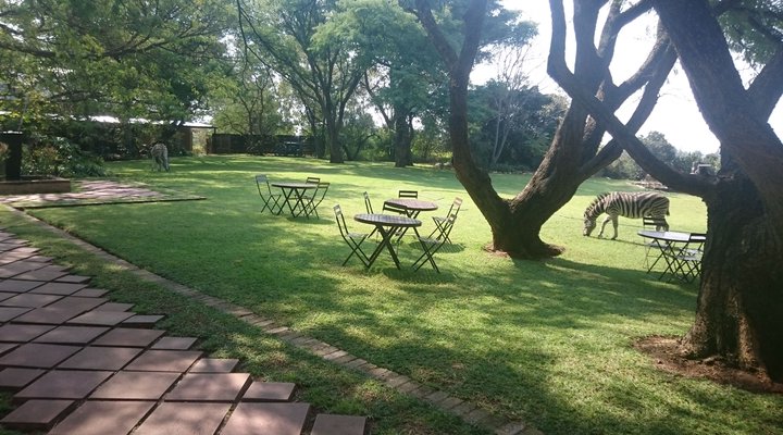 Ekudeni Country Venue