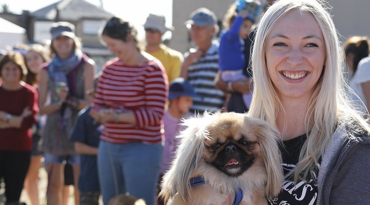 Blue Dog Accommodation