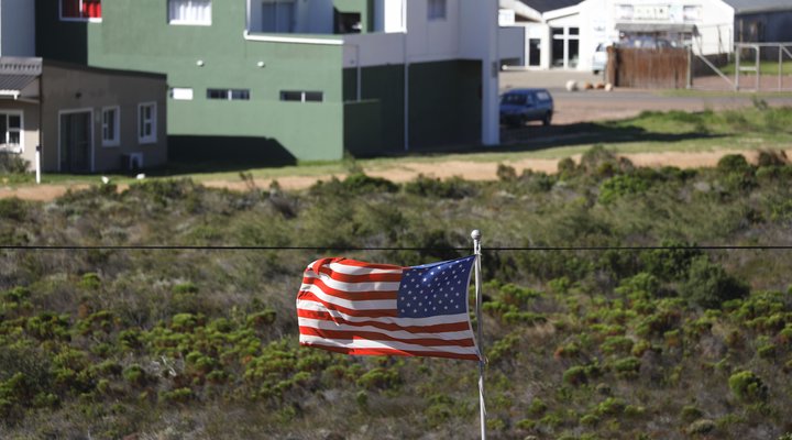 Blue Dog Accommodation