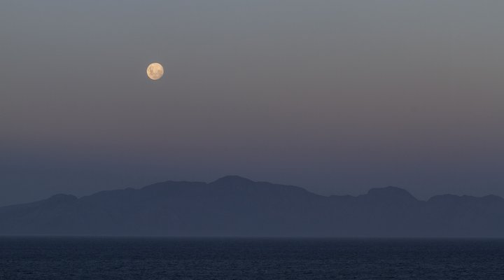 The Penguin Cove Sea Lodge