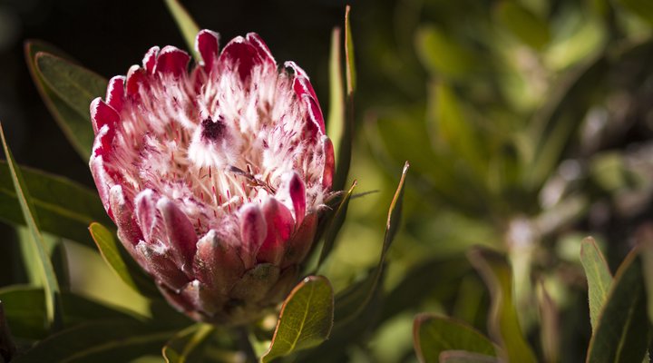 The Penguin Cove Sea Lodge