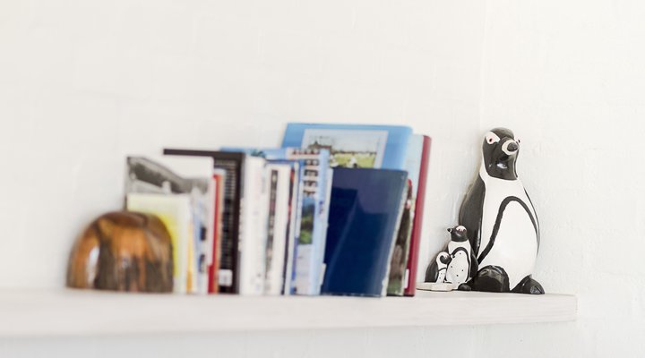 The Penguin Cove Sea Lodge