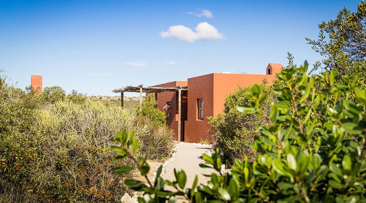 Duinepos Chalets