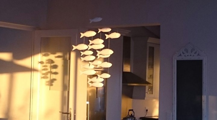 Whales Tale