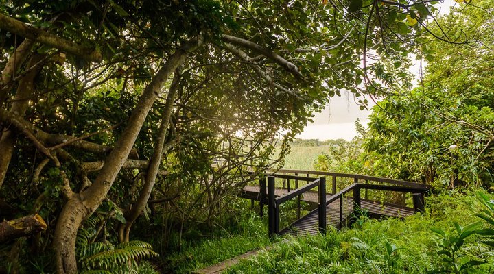 68 The Bridge Holiday Resort