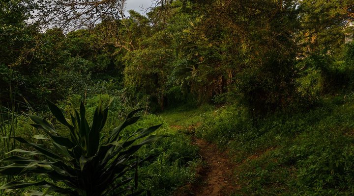 68 The Bridge Holiday Resort