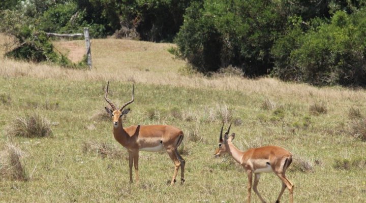 3 Barrack Lane- Formerly Coshlybee Cottage